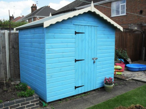 apex shed
